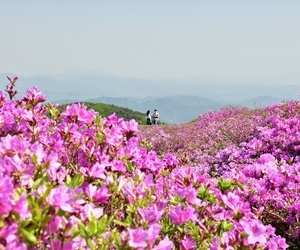 3차 문화탐방 합천 영암사지.  황매산군립공원