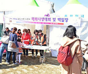 매화축제 