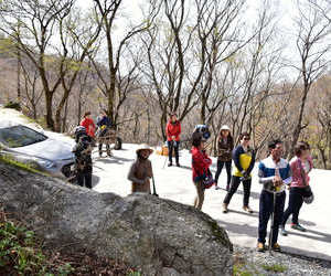 백운산 산사길걷기